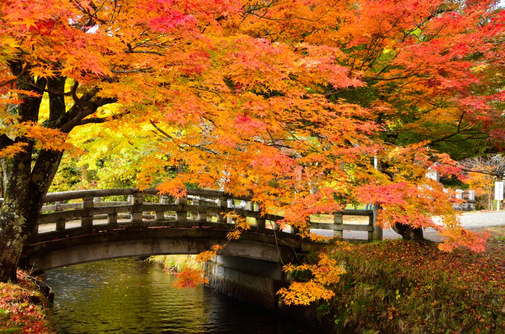 福島県内の紅葉を巡る エリア別見ごろ 見どころまとめ