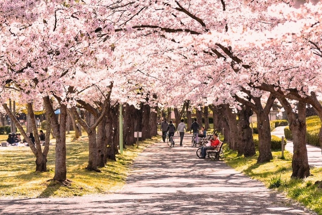 郡山市民なら知っておきたい 観光コースをベースに安積開拓の歴史をまわってみた