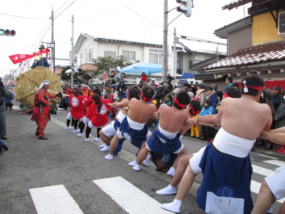 高田大俵引き