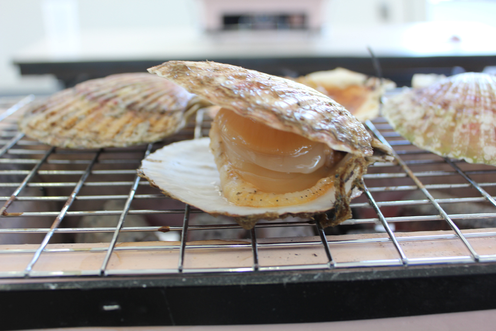 釣ったホタテを囲炉裏で焼いて食べられる「ホタテ釣り」