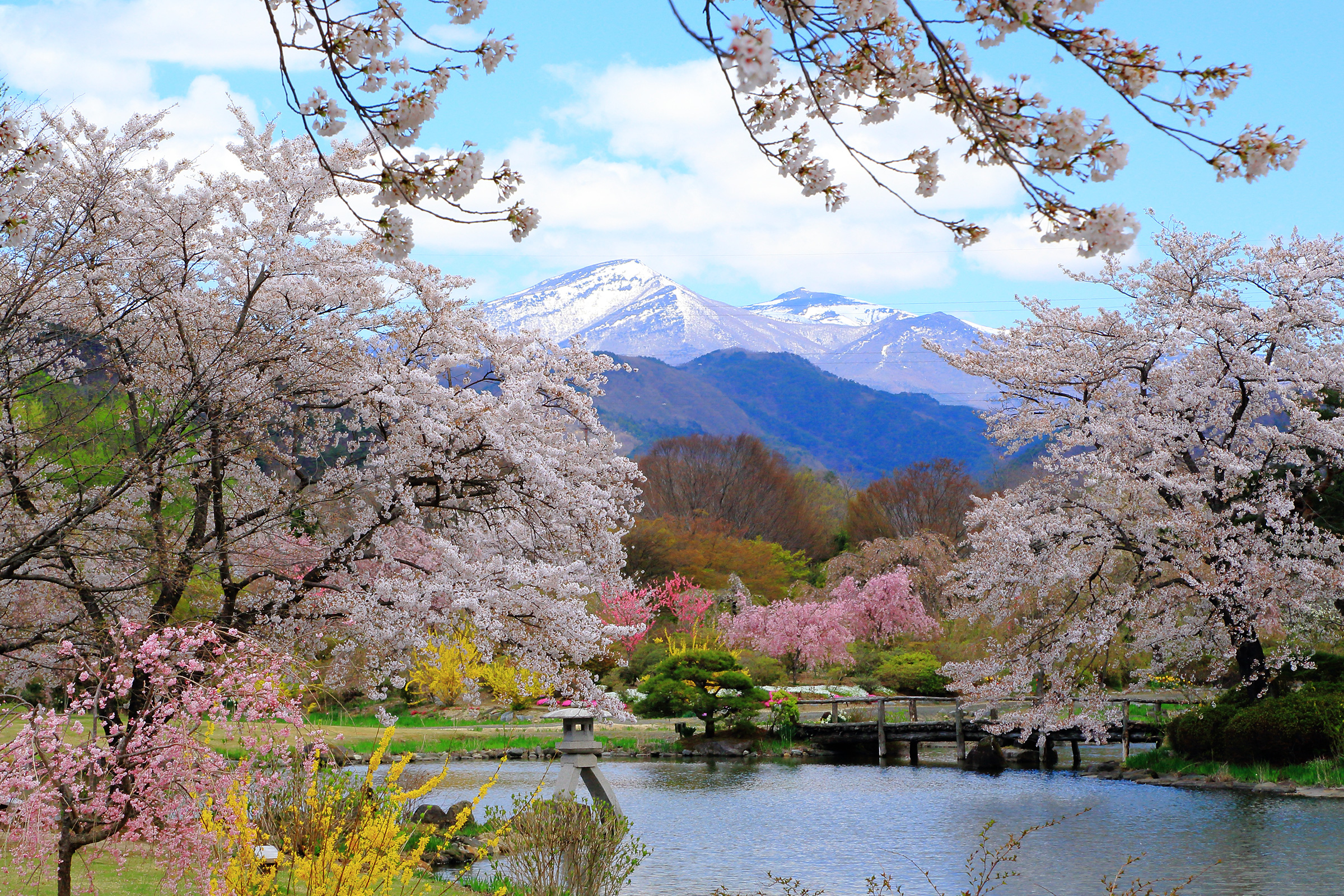 郡山から車 電車で行く花見旅 桜の名所をまわるモデルコース