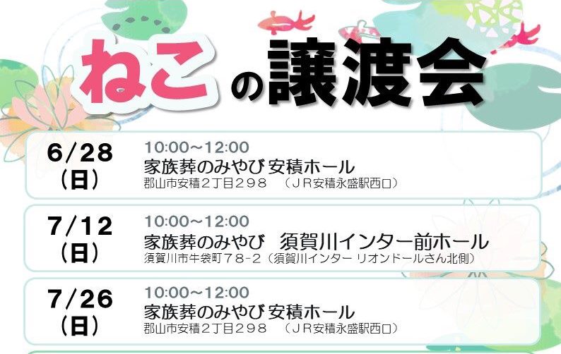 6月・7月の「ねこの譲渡会」