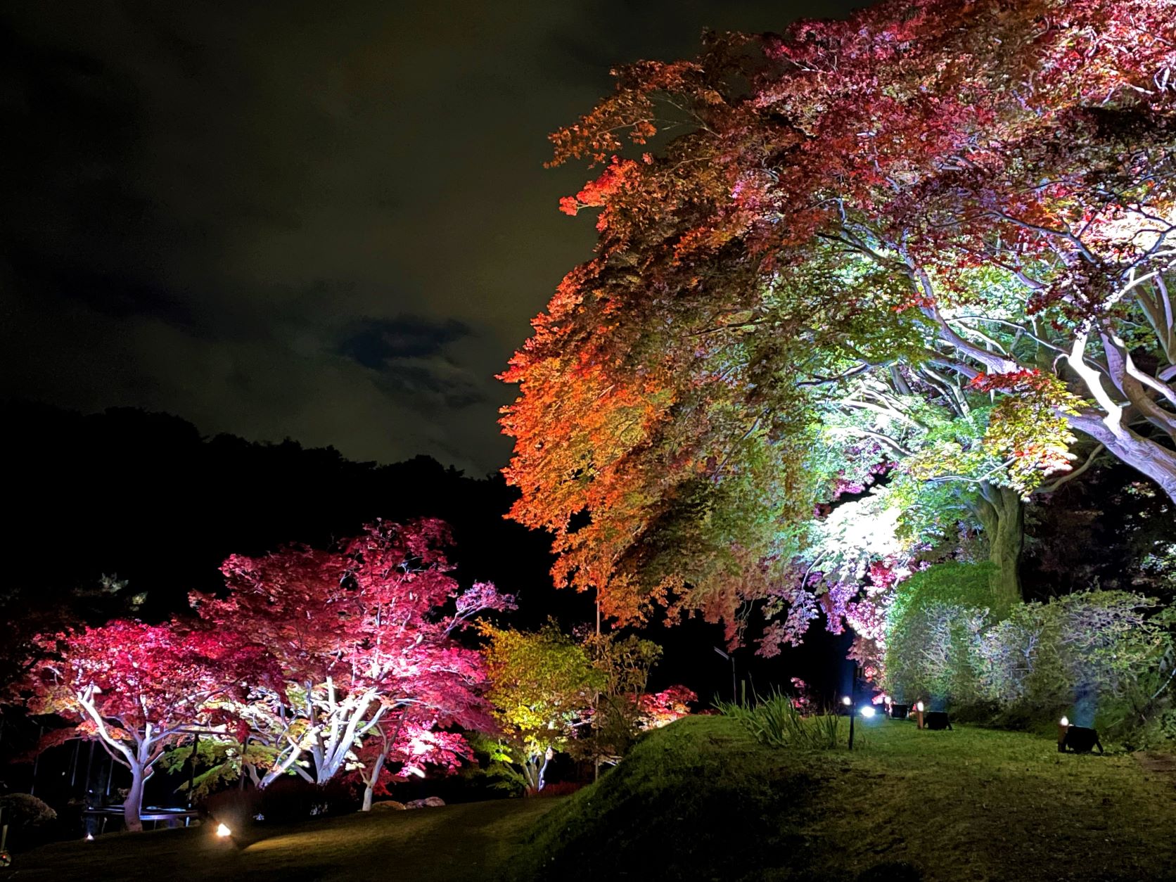 「蛇の鼻」もみじ祭り＆紅葉ライトアップ