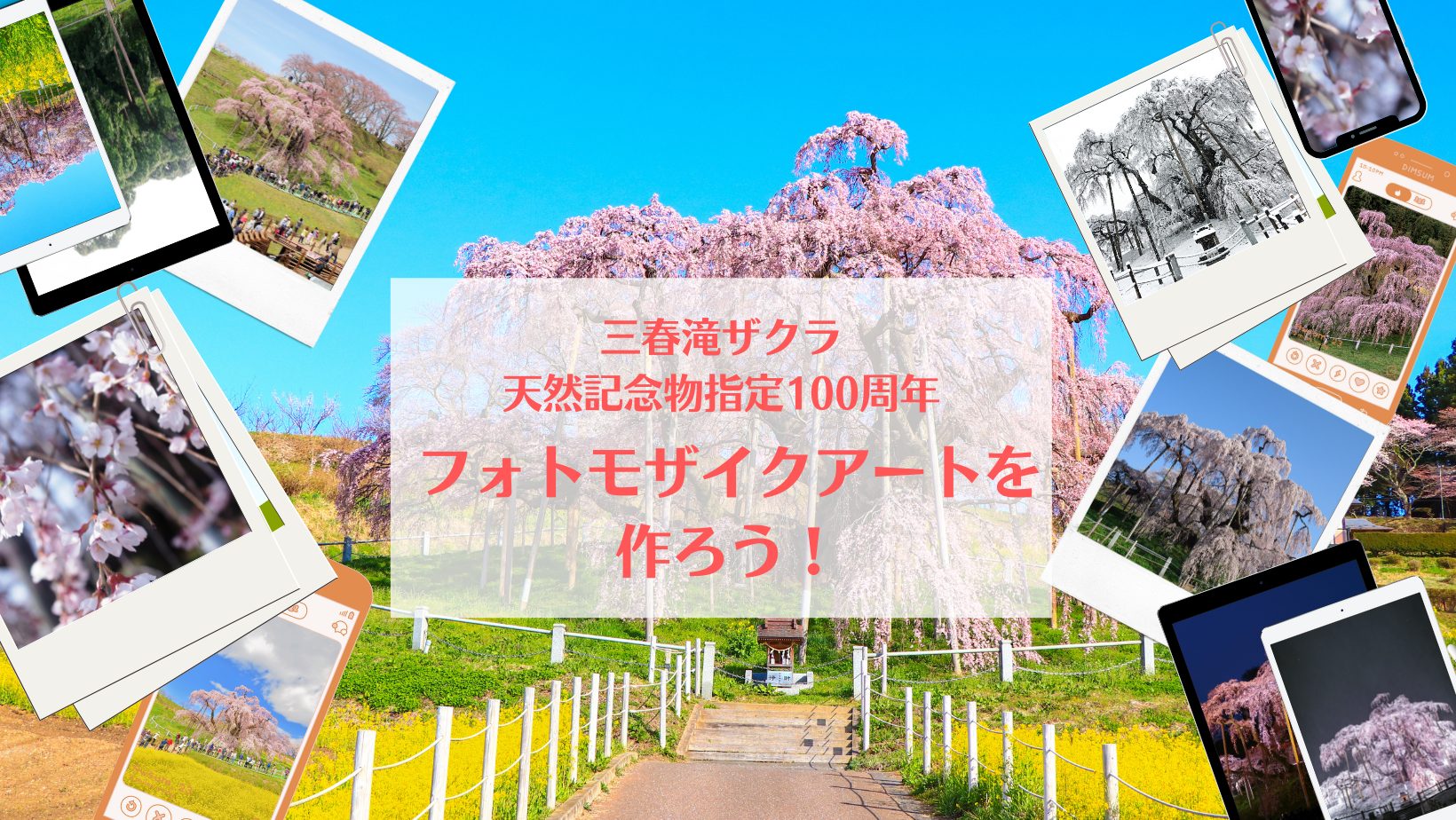 三春滝ザクラ天然記念物指定100周年記念事業「三春滝ザクラフォトモザイクアートを作ろう！」