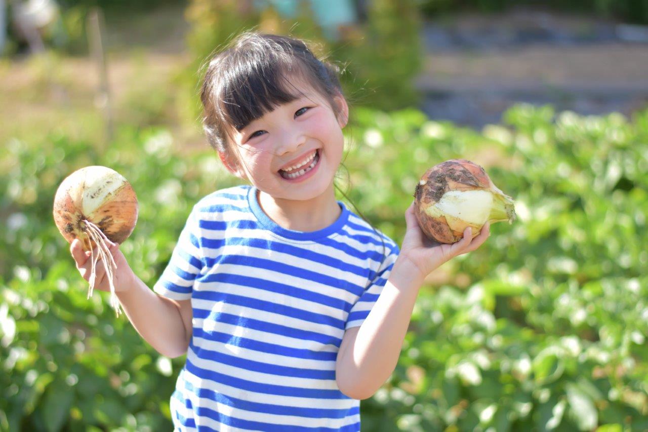 「ほしくまわくわくベース」体験教室「野菜を育て食を学ぶ」