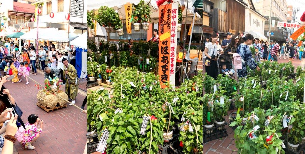 田中稲荷神社祭礼「ほおずき市」