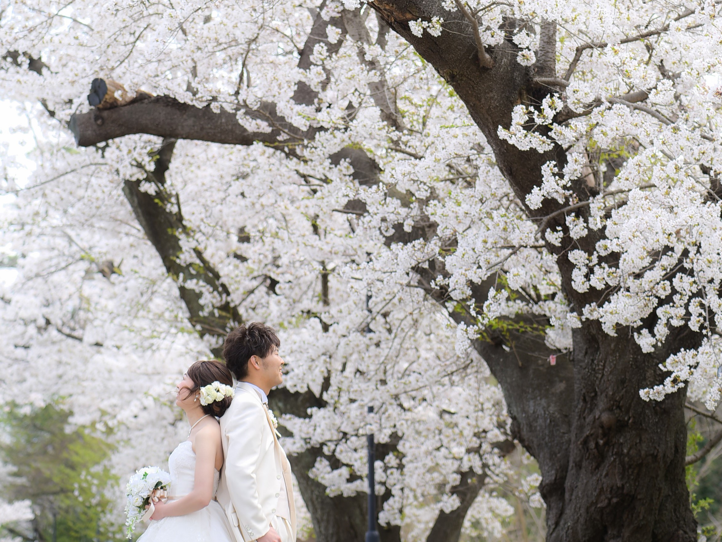 arukuプロデュース「開成山公園ウエディング」！フォトウエディングのモニターを募集♪〆切3/16(日)